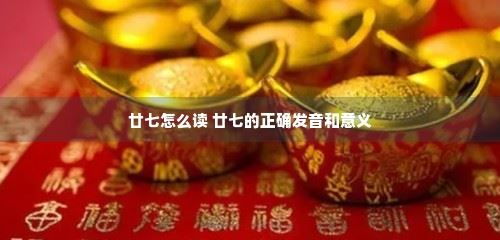 廿七怎么读 廿七的正确发音和意义